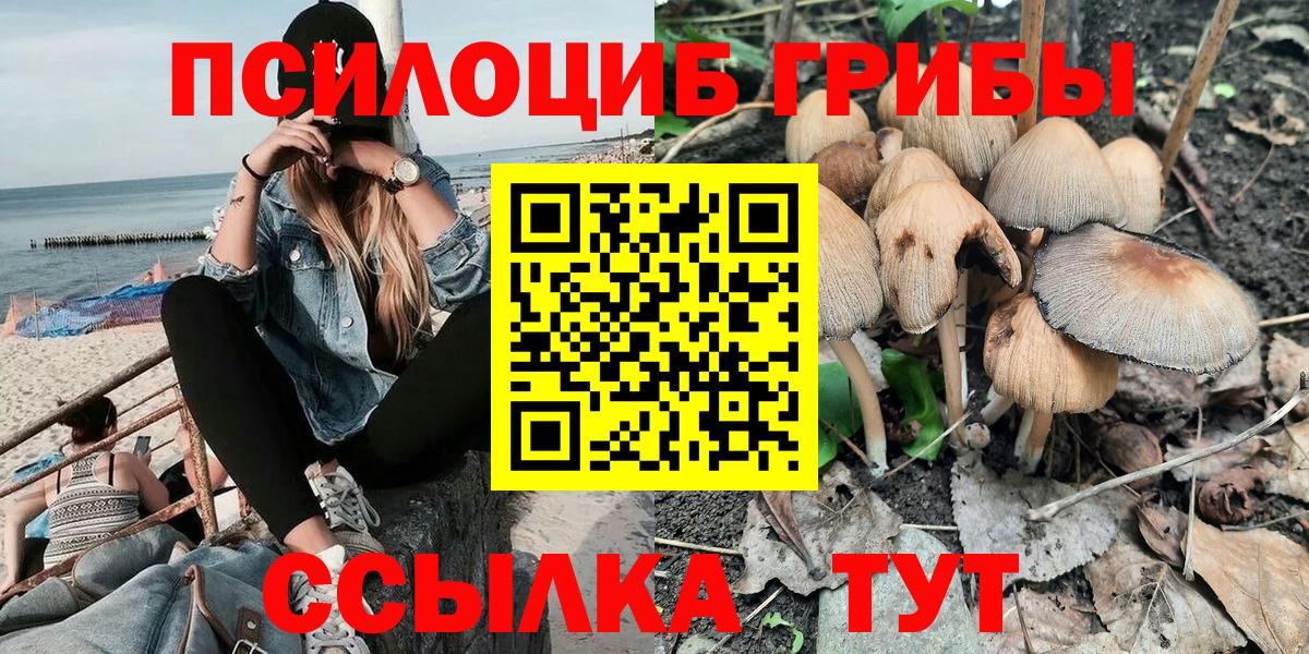 Псилоцибиновые грибы GOLDEN TEACHER Черкесск