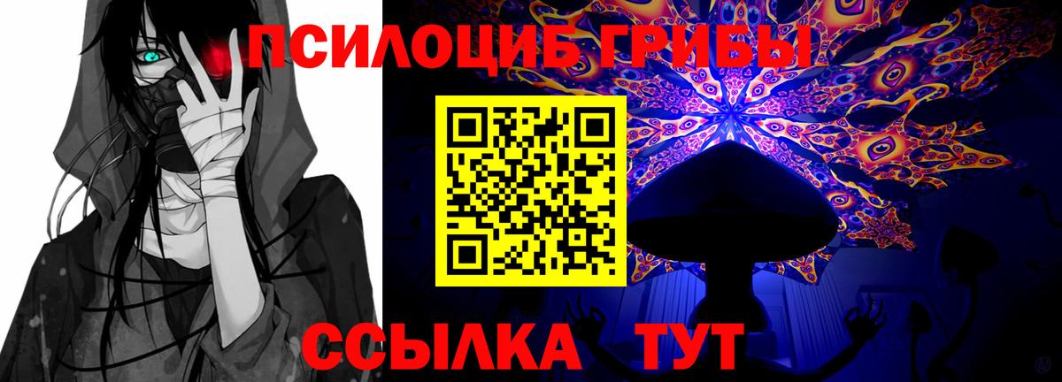 Псилоцибиновые грибы ЛСД  Вход с VPN  Черкесск 